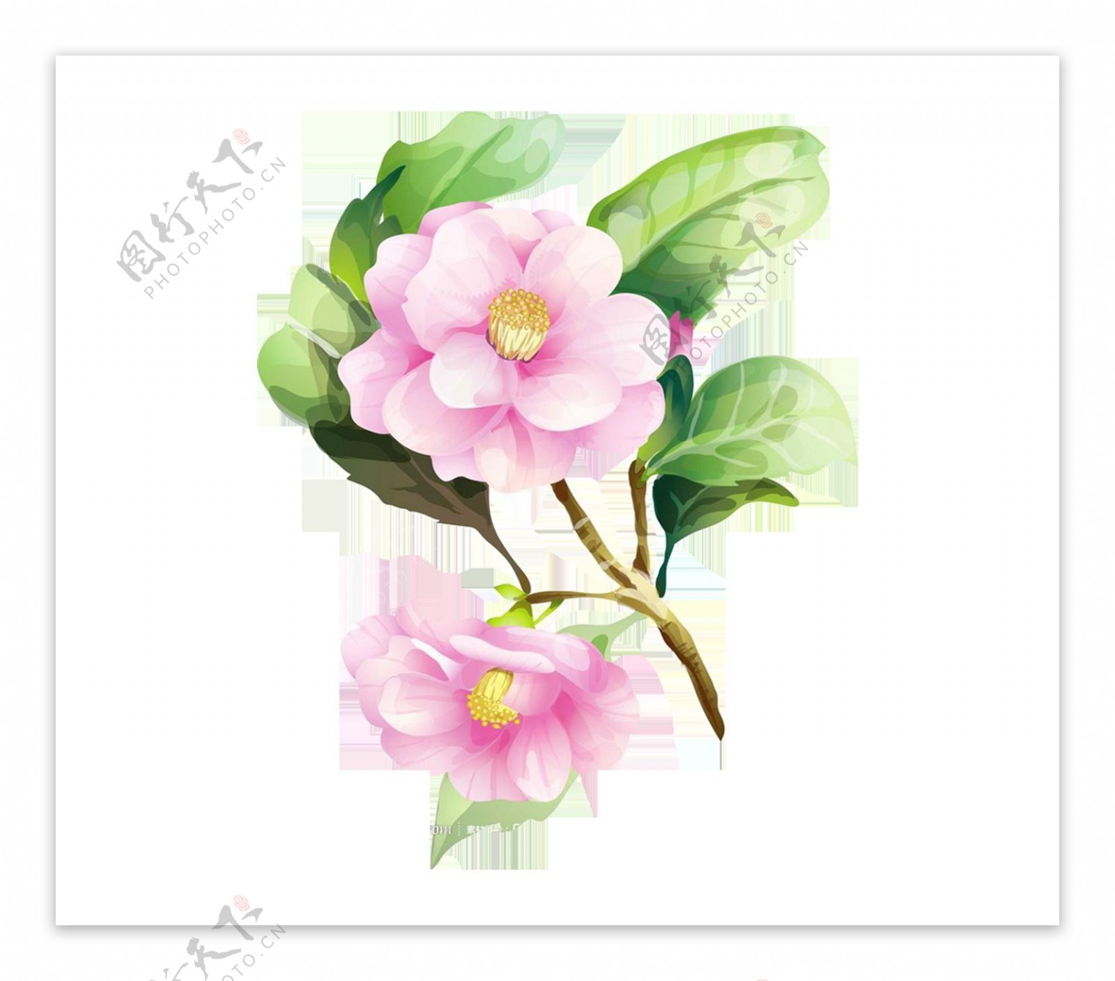水墨粉色海棠花png元素