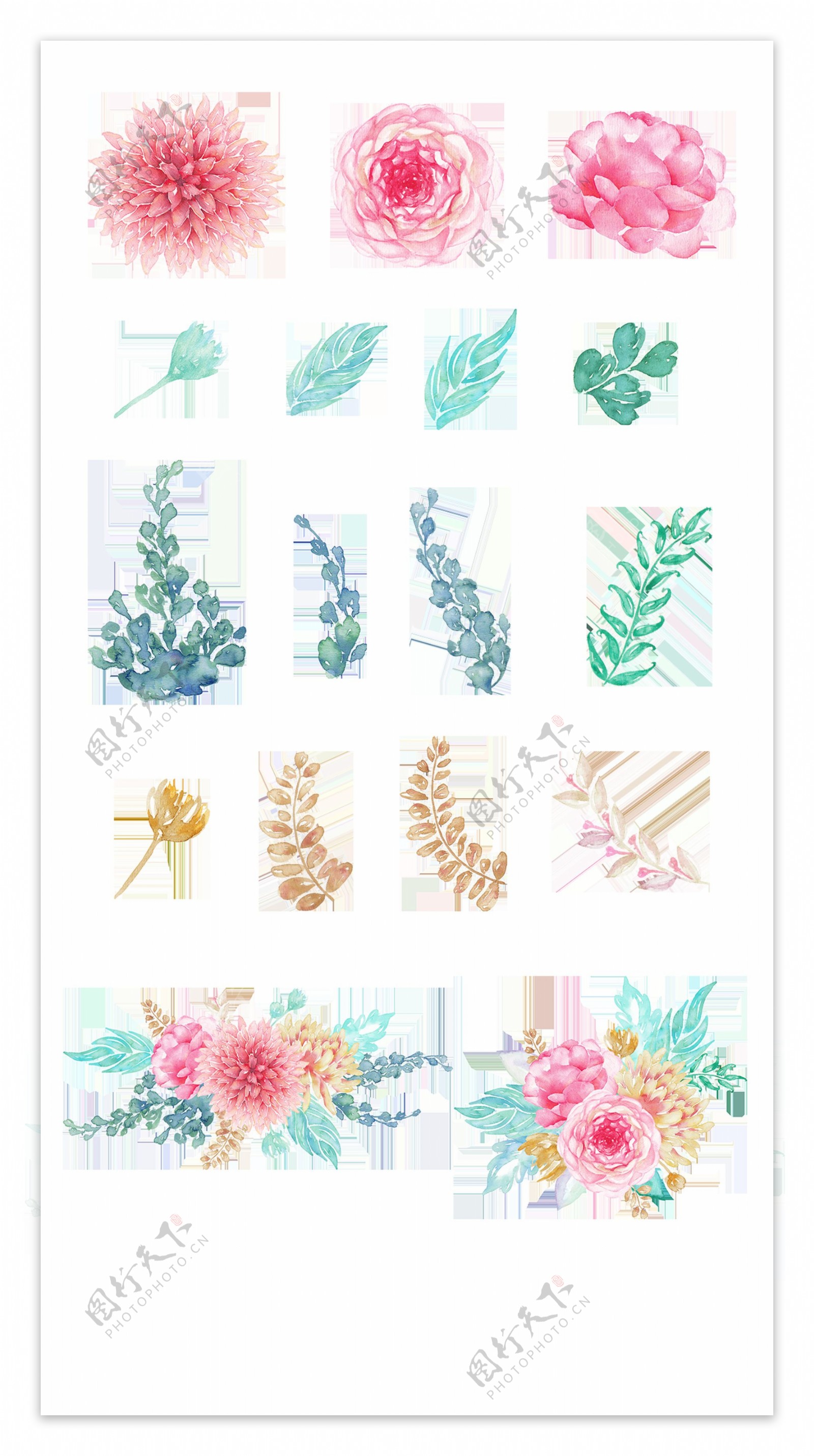 创意花卉手绘设计图透明装饰素材
