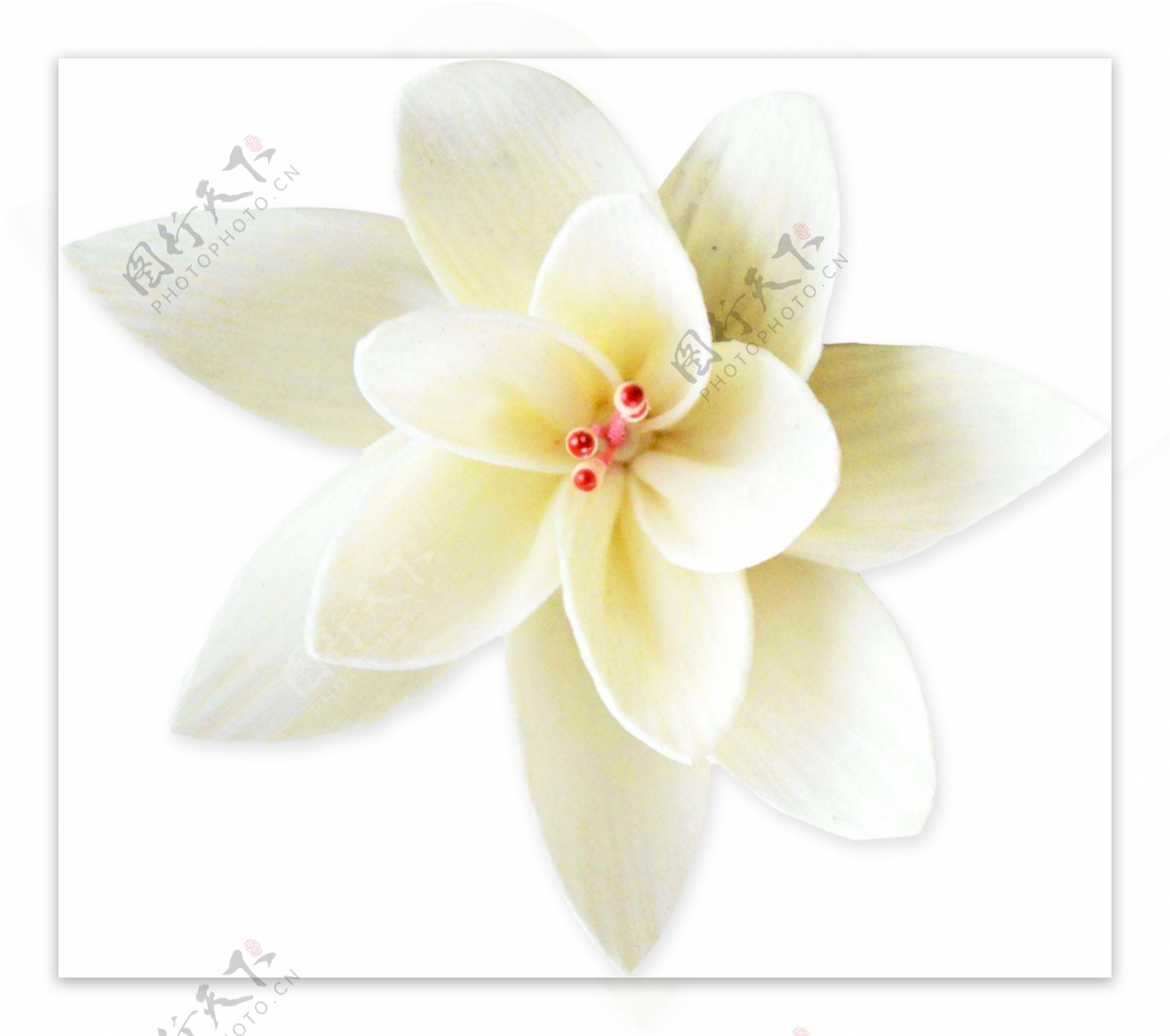 白色艺术花朵PSD格式