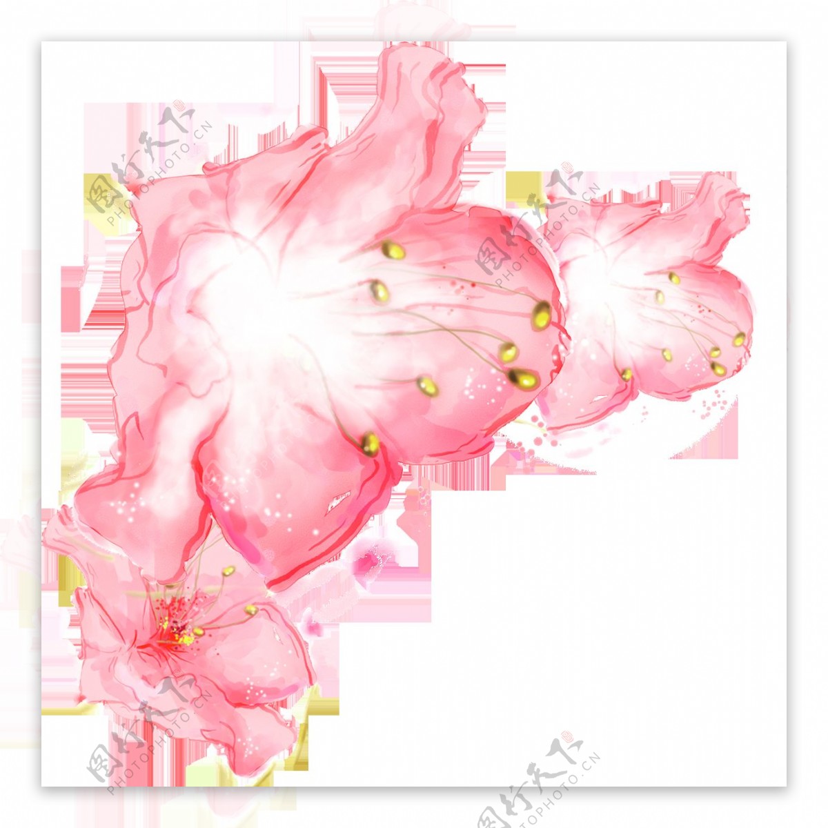 清新风格粉色花瓣樱花装饰元素