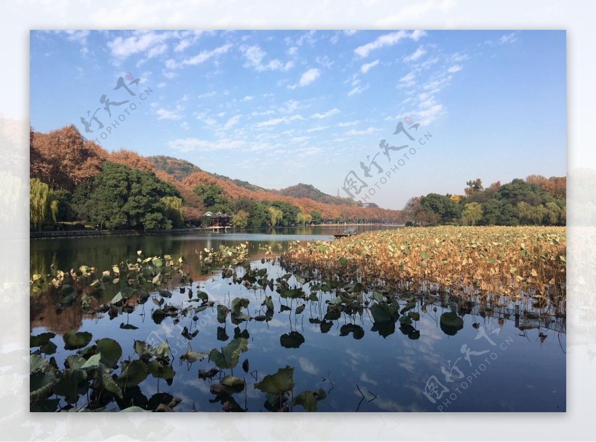 西湖美景