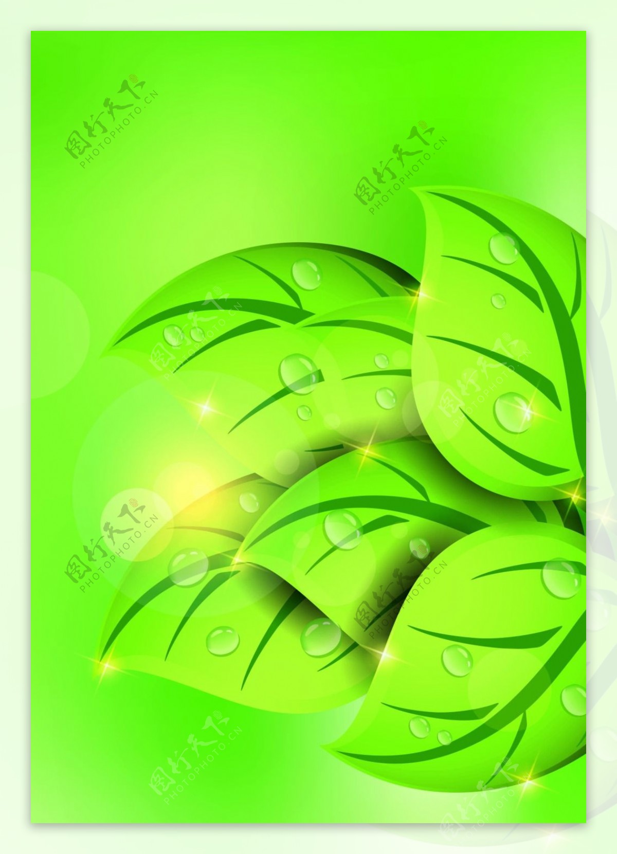 绿色树叶背景装饰