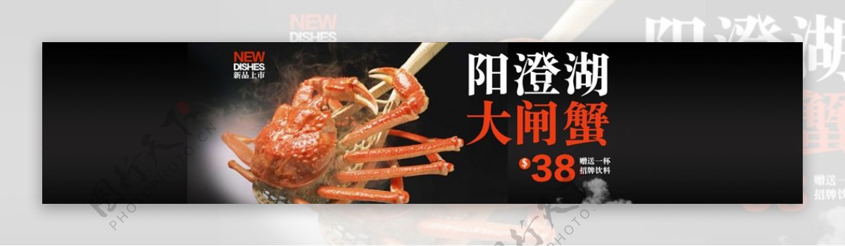 餐饮海报阳澄大闸蟹食物海报