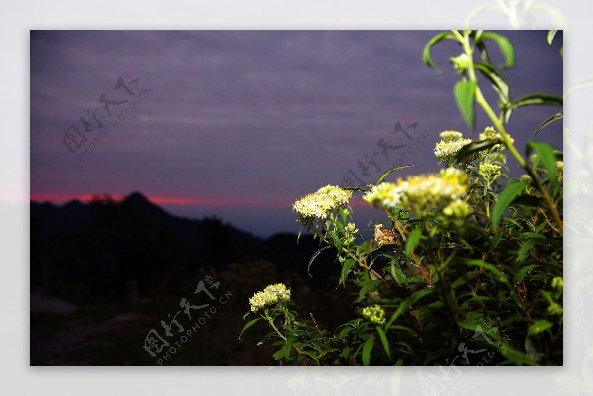 九皇山景点