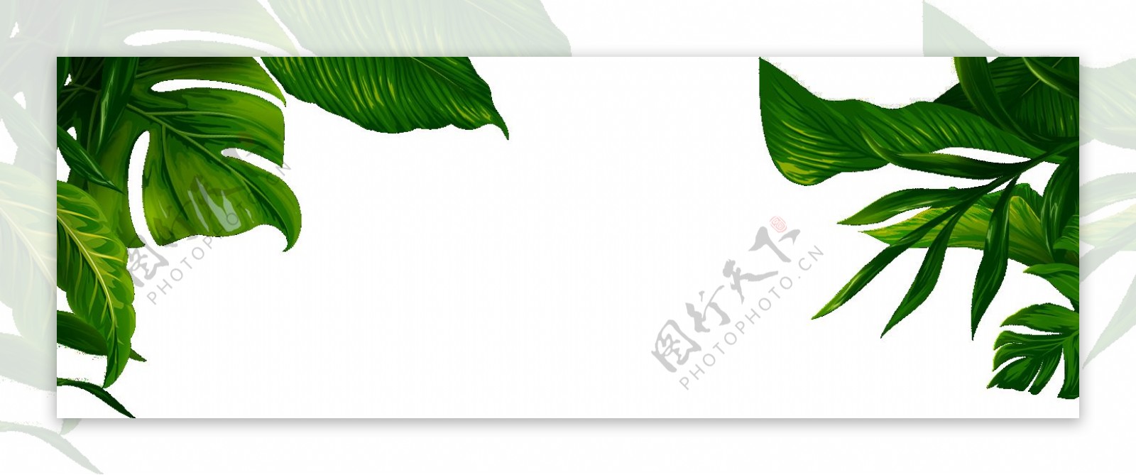 清新绿色叶子边框装饰图PNG元素