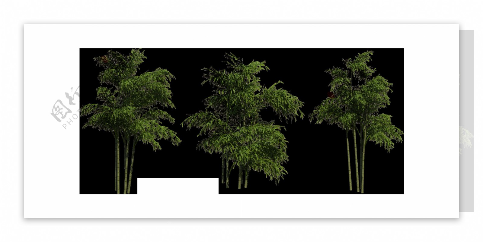 绿色园林景观竹子png元素