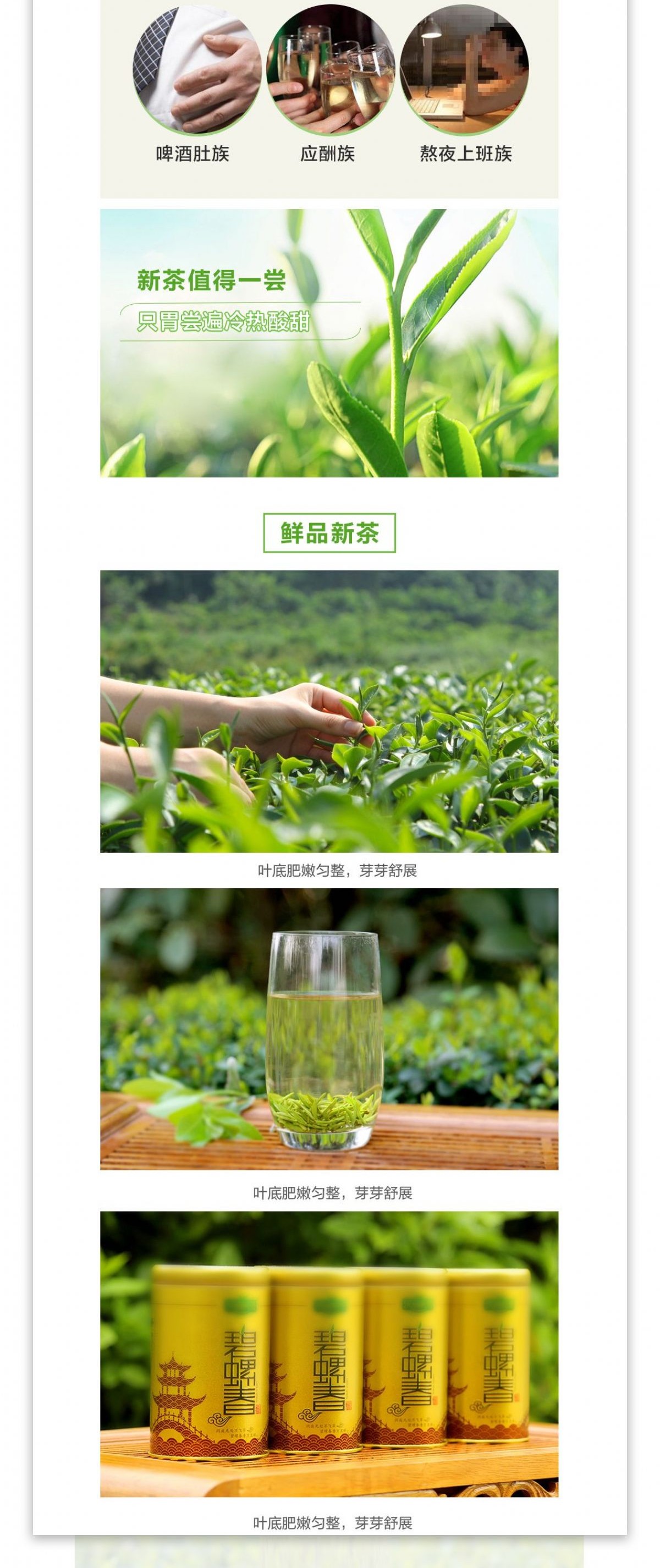 茶叶中国风详情页设计模板