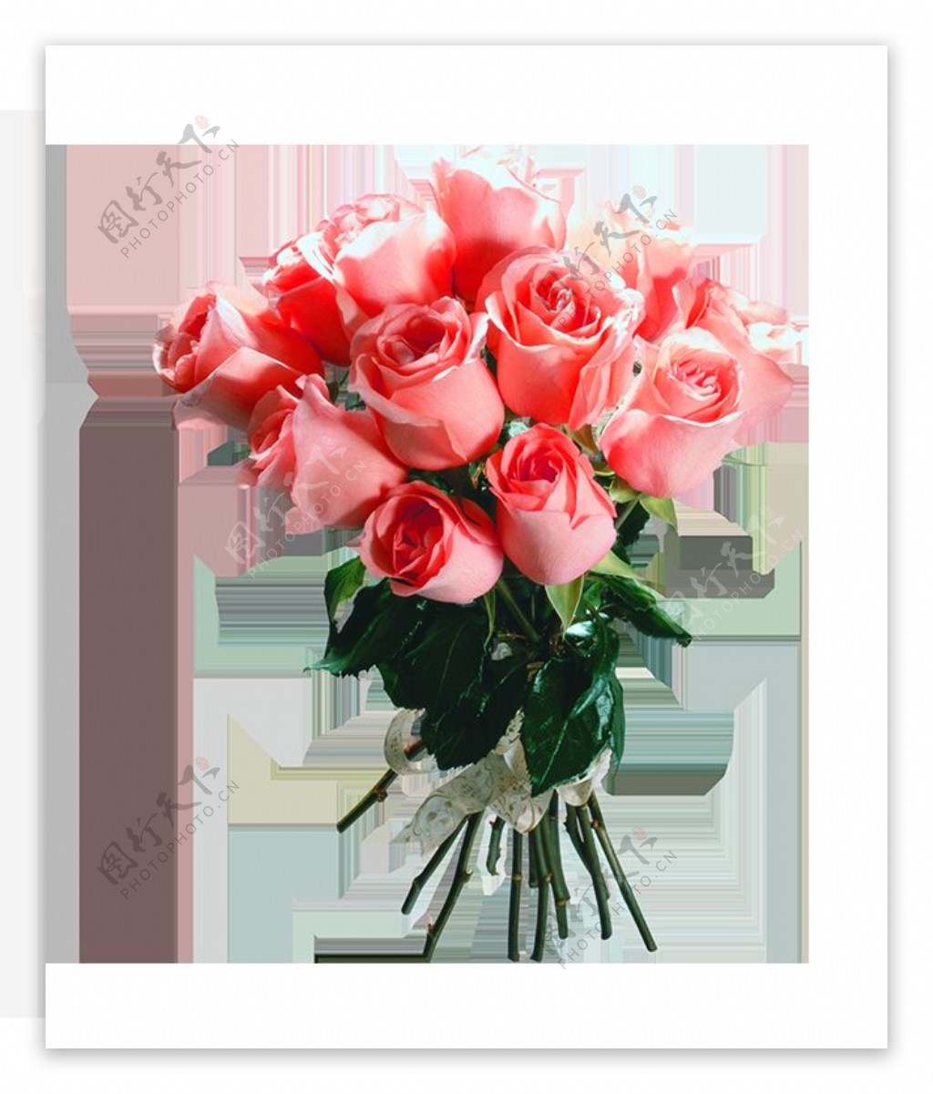 浪漫粉色玫瑰花花朵花束实物元素