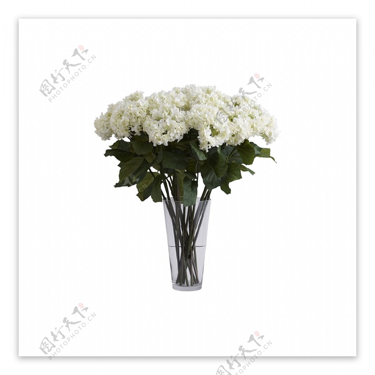 淡雅白色菊花花朵花束实物元素