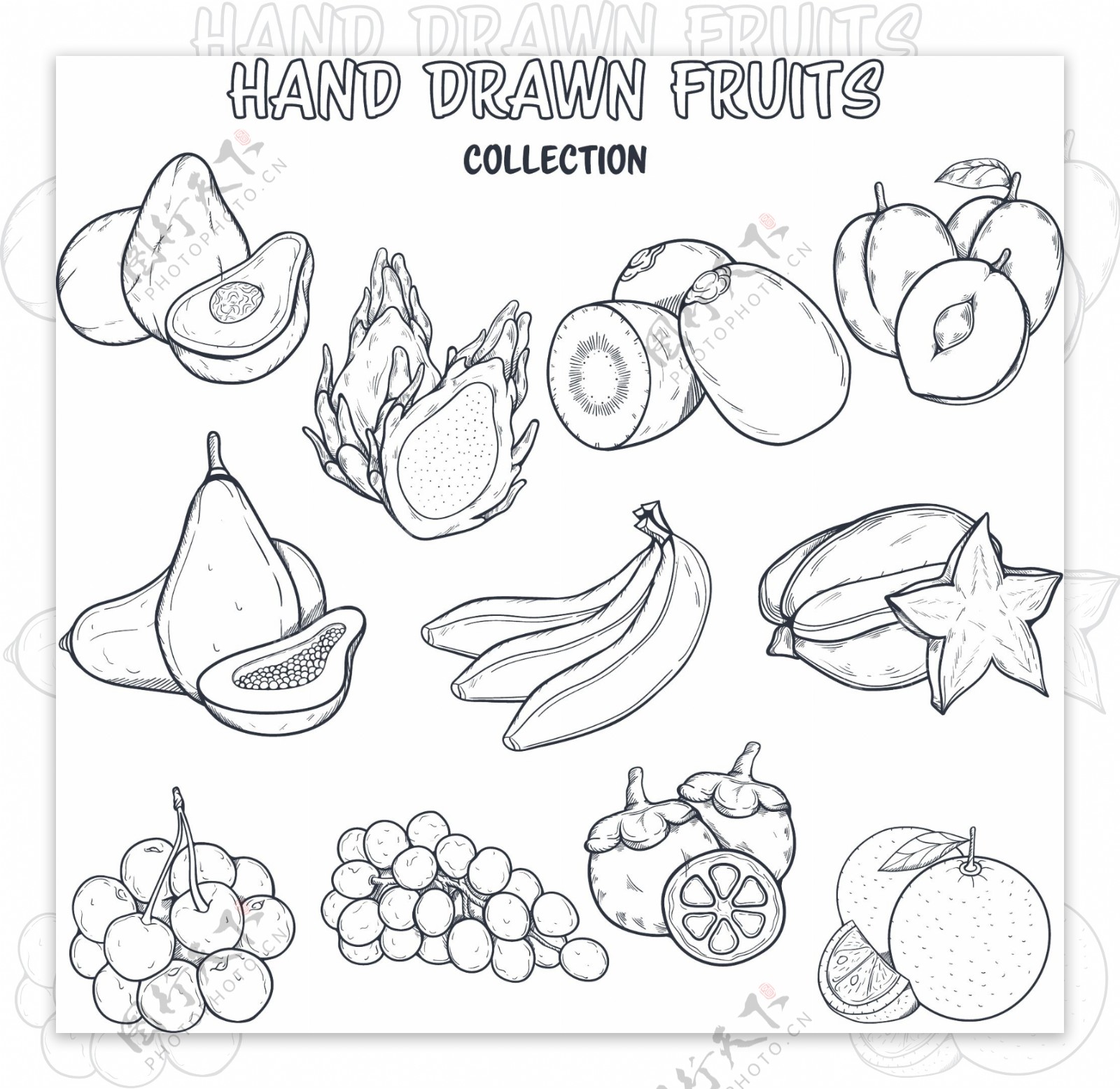 时尚线条手绘水果插画