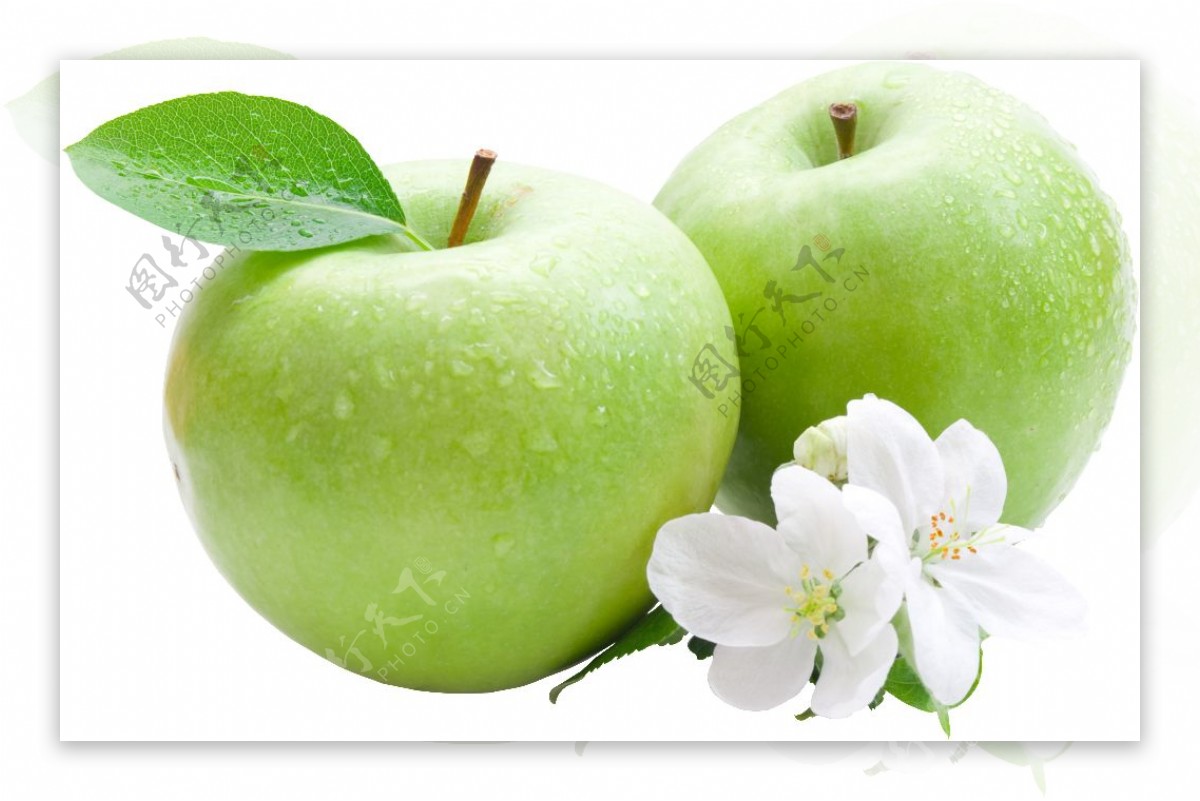 两个新鲜的绿苹果透明装饰图片