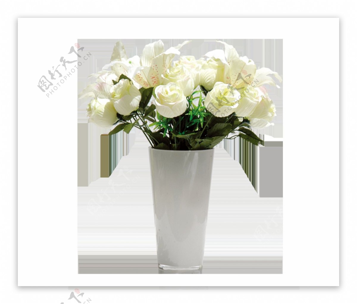 白色玫瑰花朵png元素