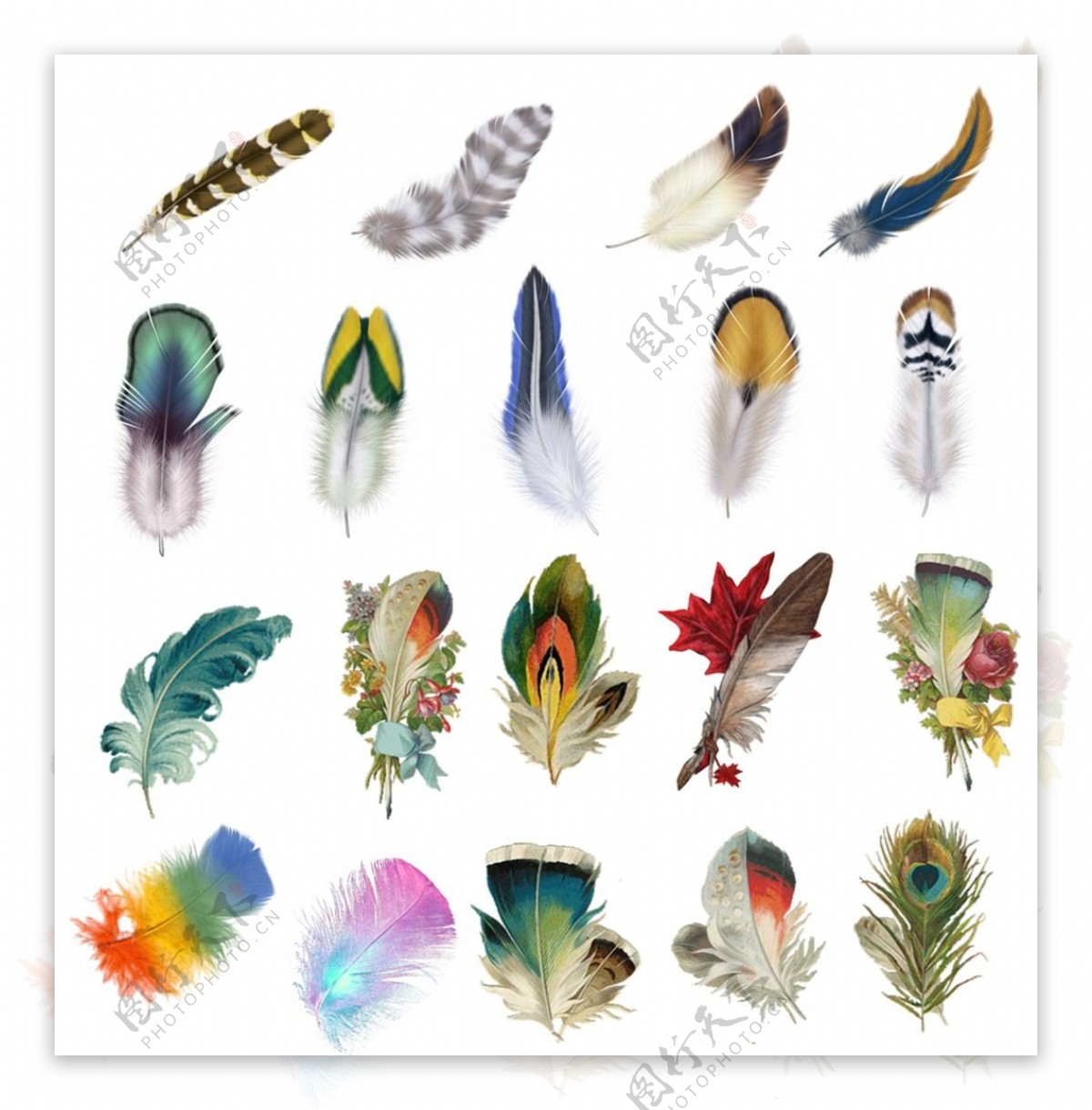彩色各类羽毛图案PNG元素