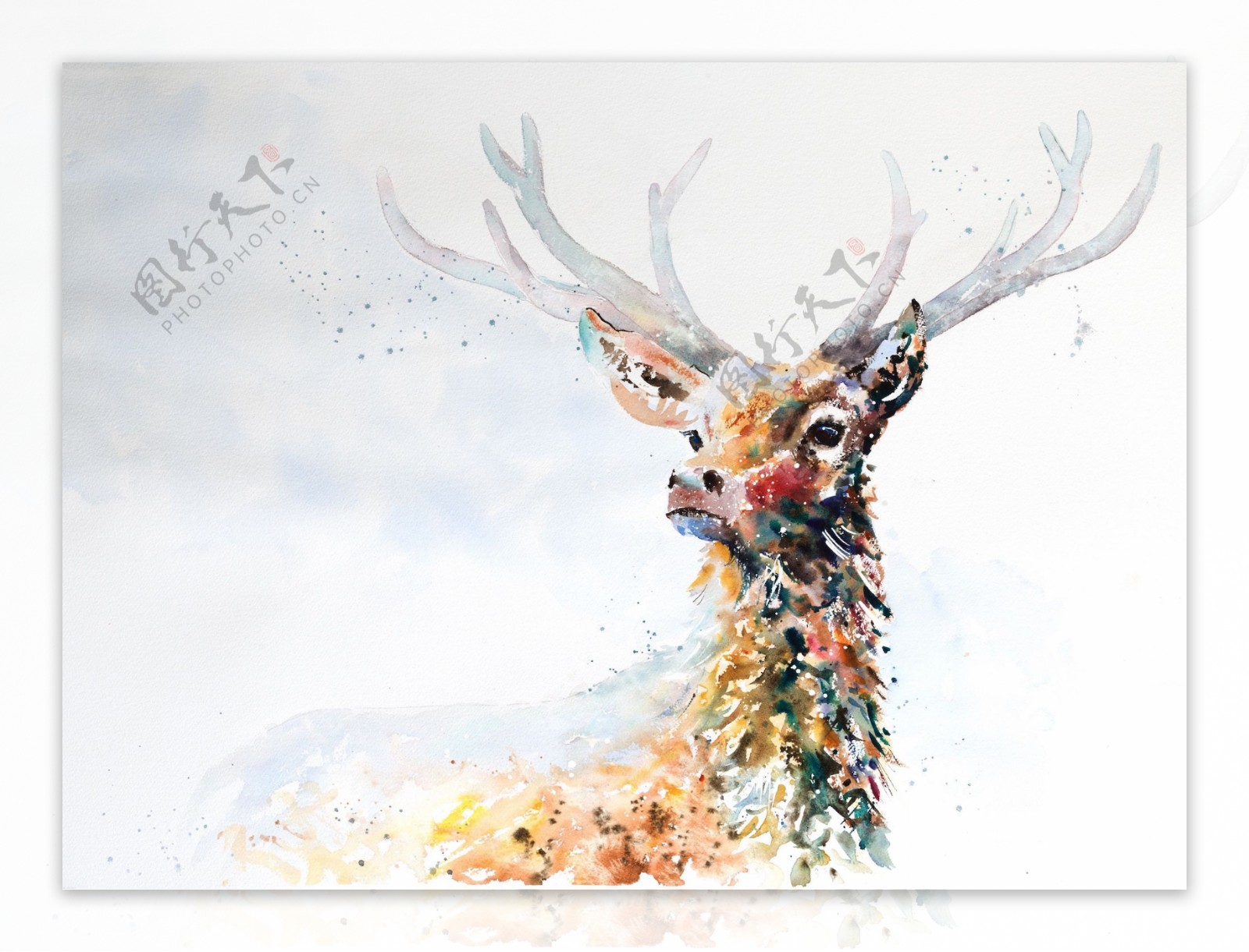 水彩鹿图片素材-编号29635102-图行天下