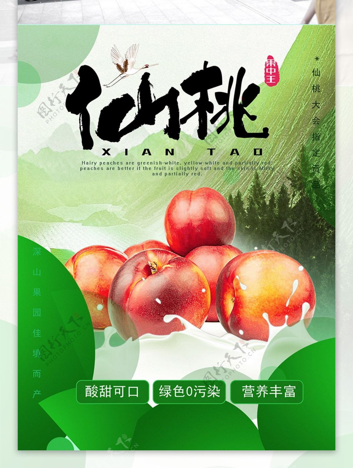 绿色鲜嫩桃子水果海报