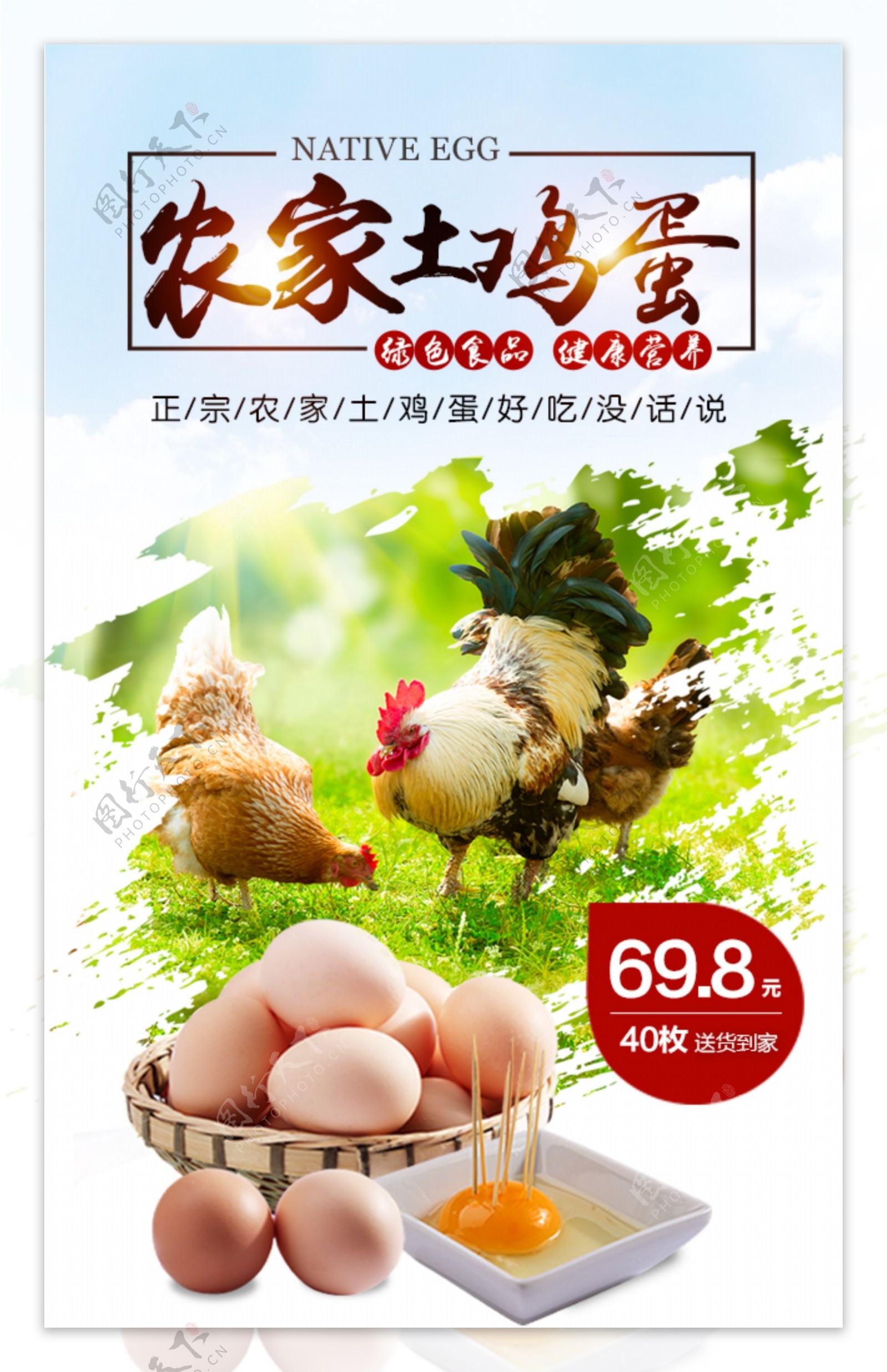 农家土鸡蛋手机端海报设计