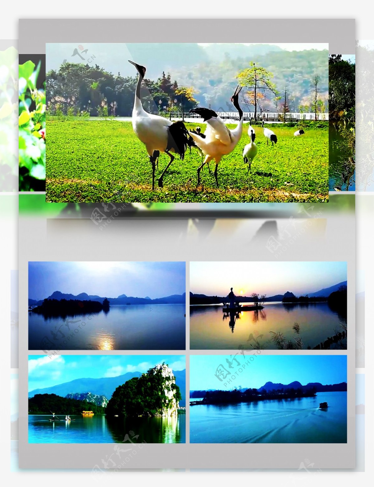 广东星湖国家湿地公园风景视频素材