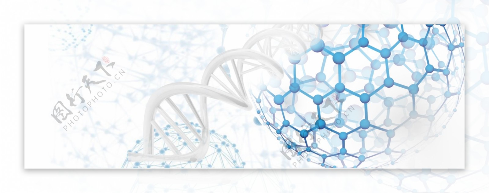 生物基因DNA