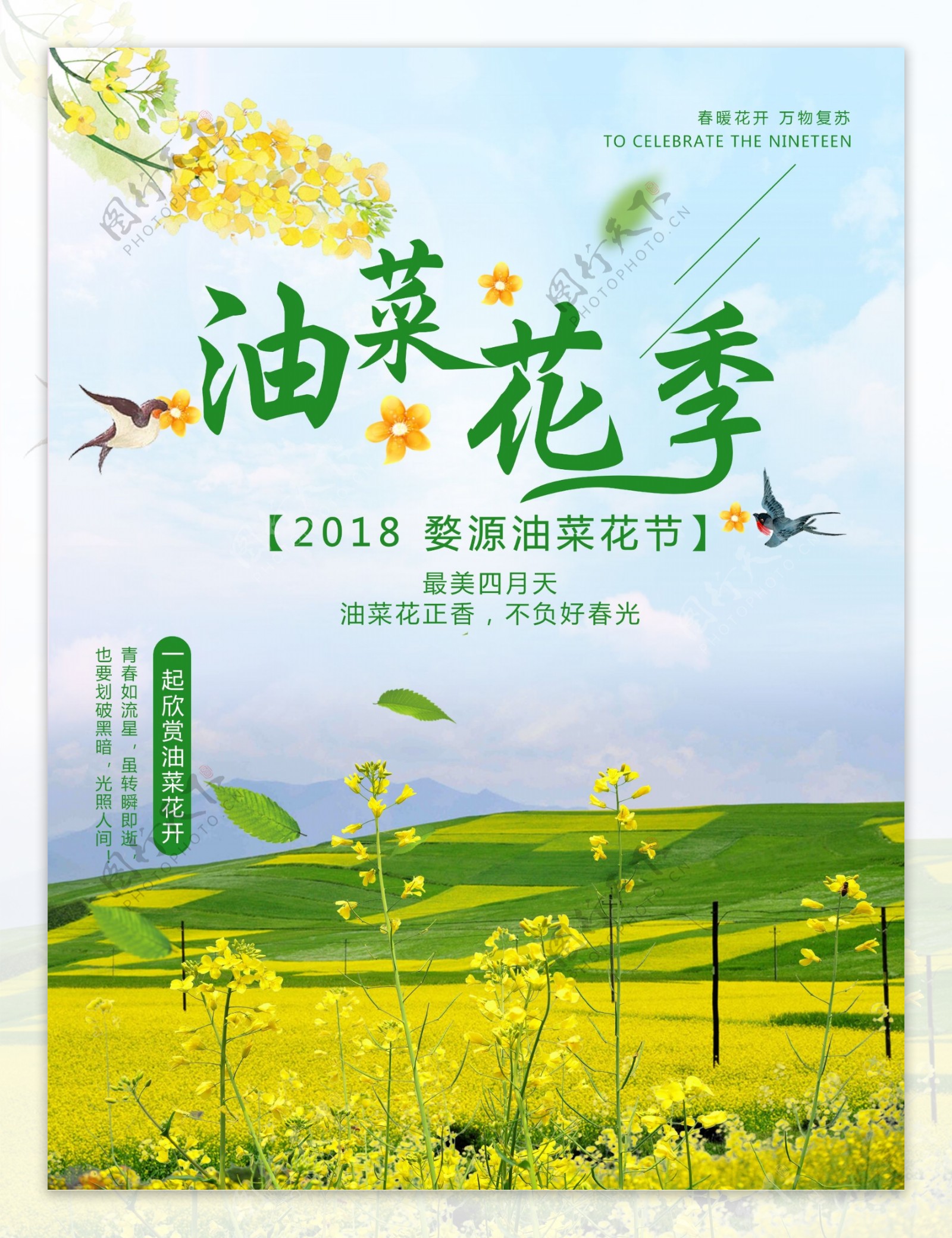 小清新油菜花旅游海报