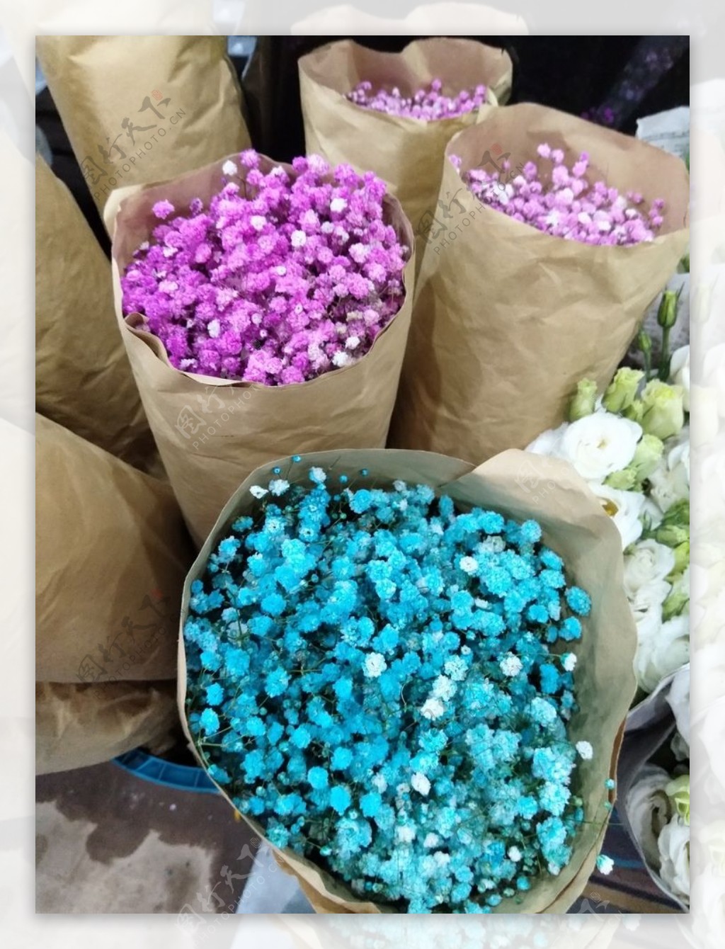 花卉市场的彩色满天星
