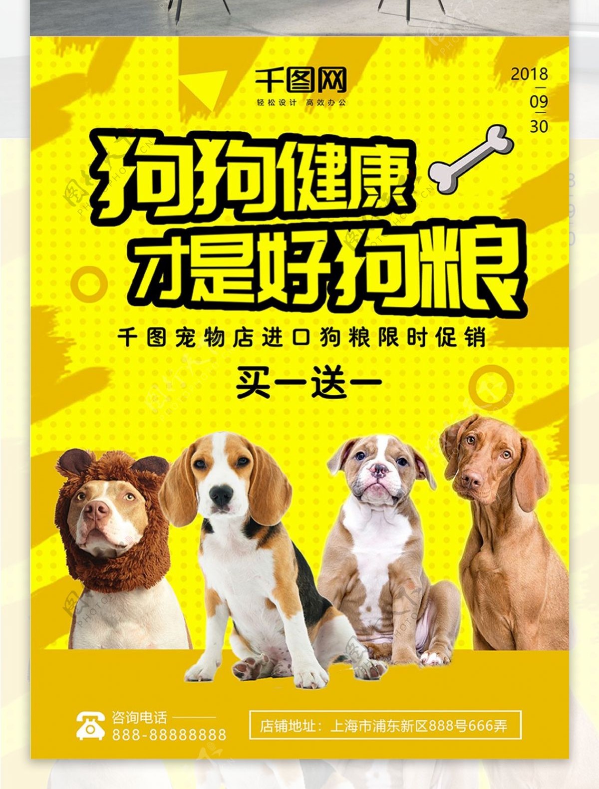 创意宠物店宠物食品狗粮促销海报