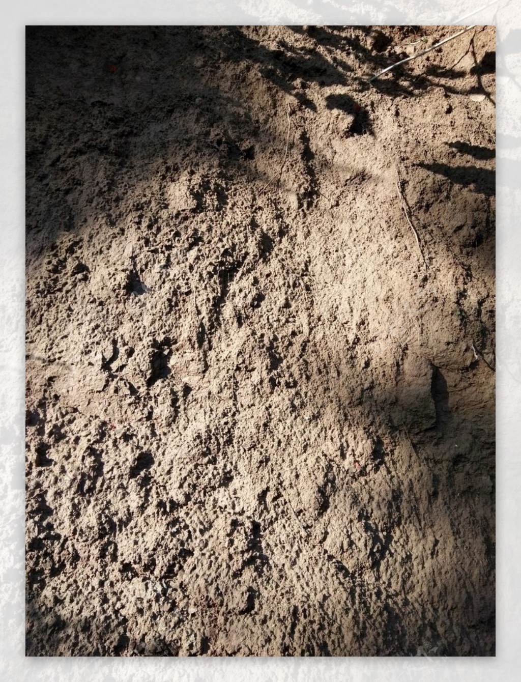 纹理泥巴背景泥土材质