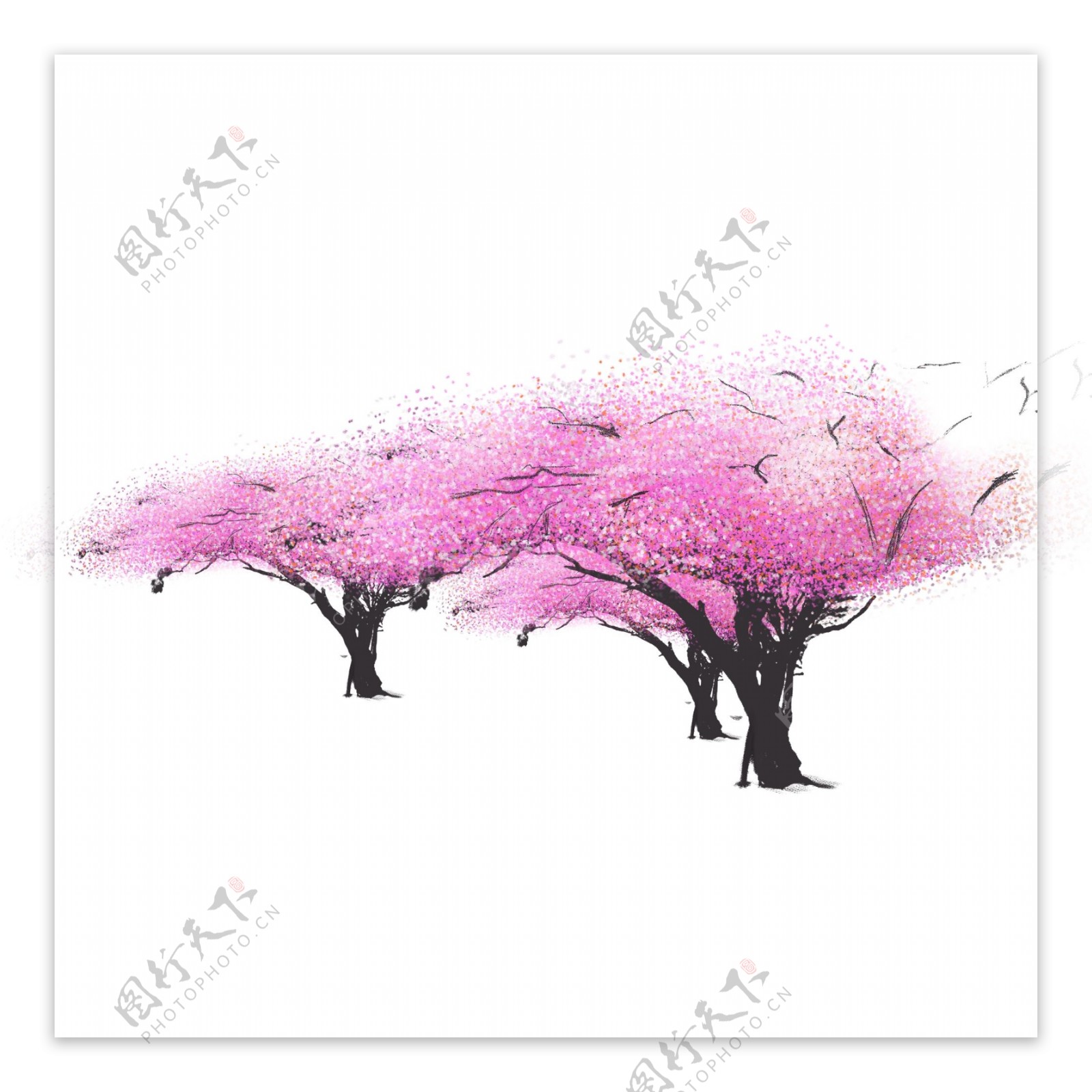 粉色设计植物樱花树
