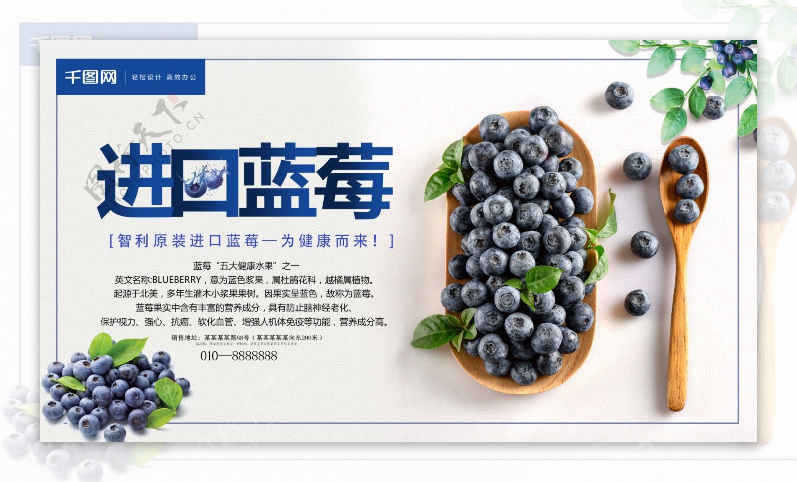 创意进口智利新鲜蓝莓水果促销展架