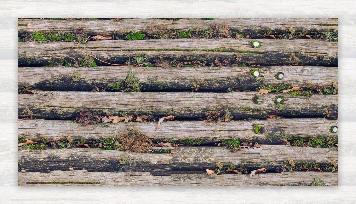 木纹木纹木板实木原木长