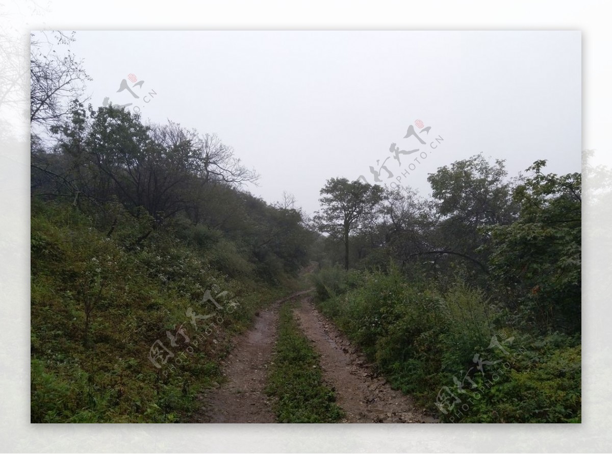 高山风景