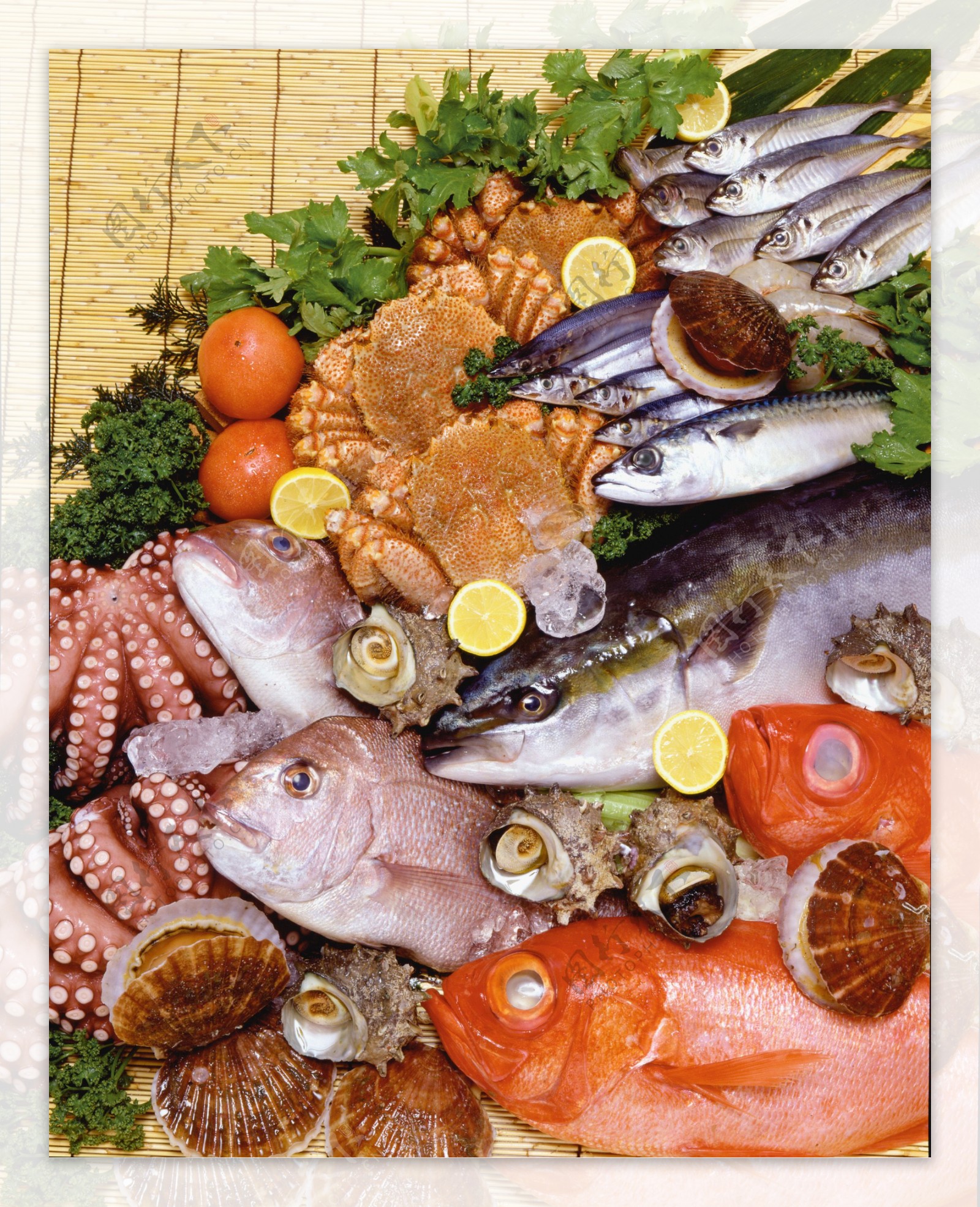 日本料理鲜鱼合集鲷金枪鱼