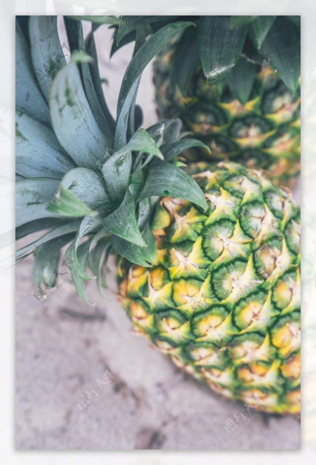 新鲜菠萝高清水果摄影