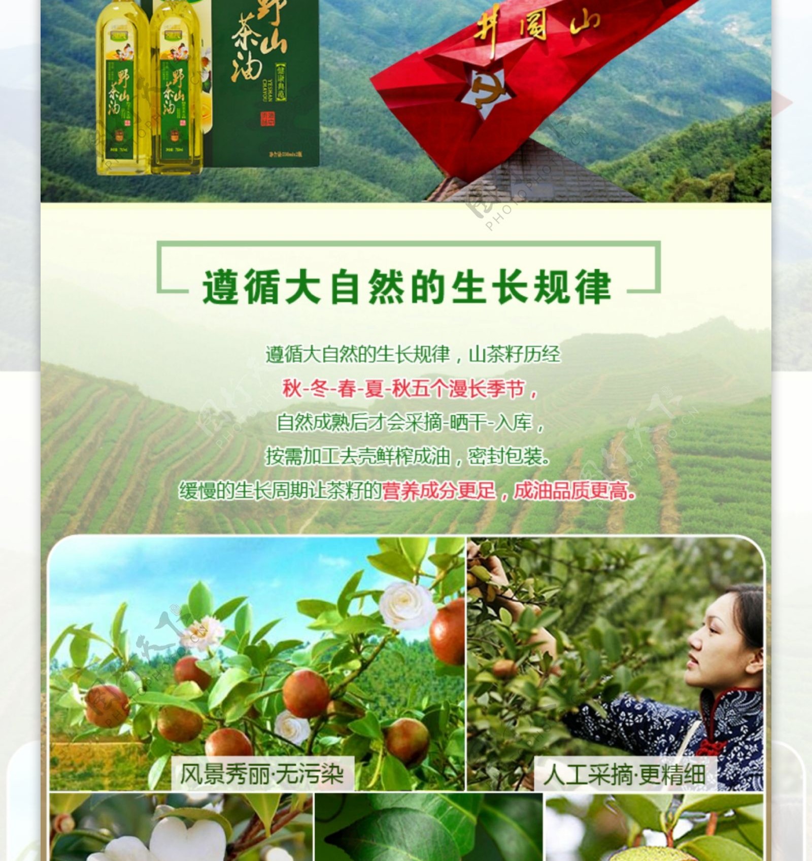山茶油产品详情页