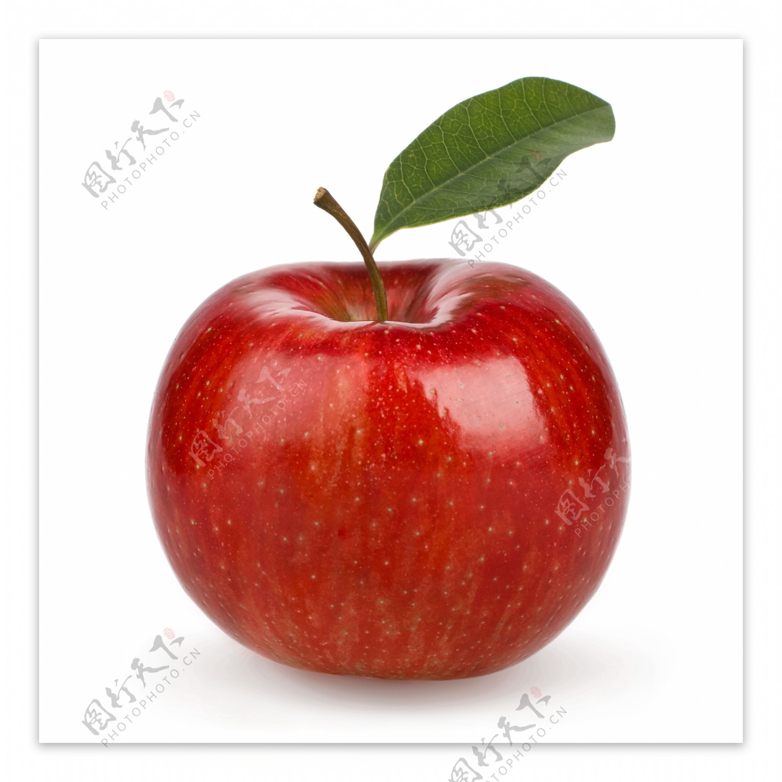 水果红苹果