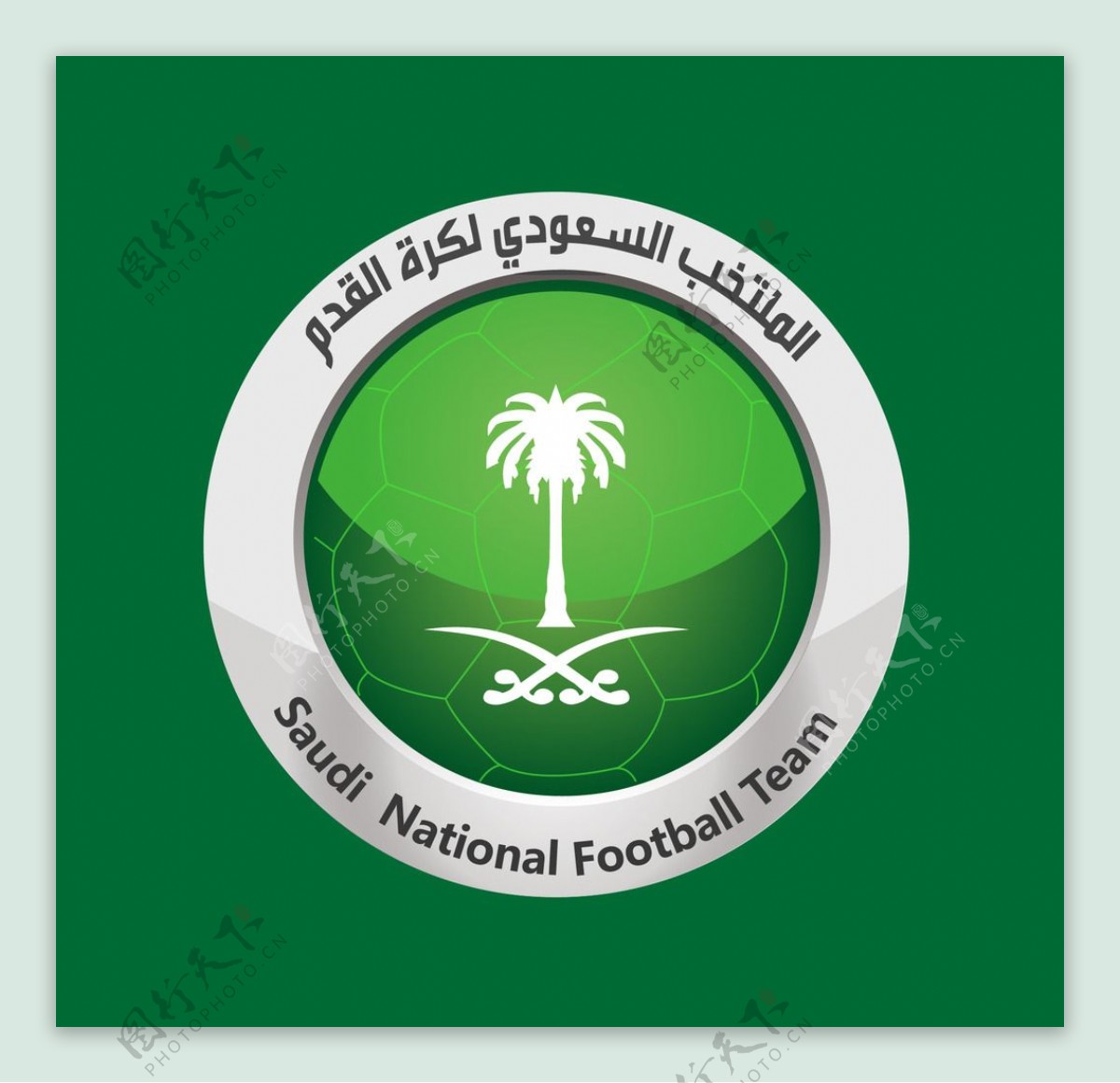 沙特国家队标志