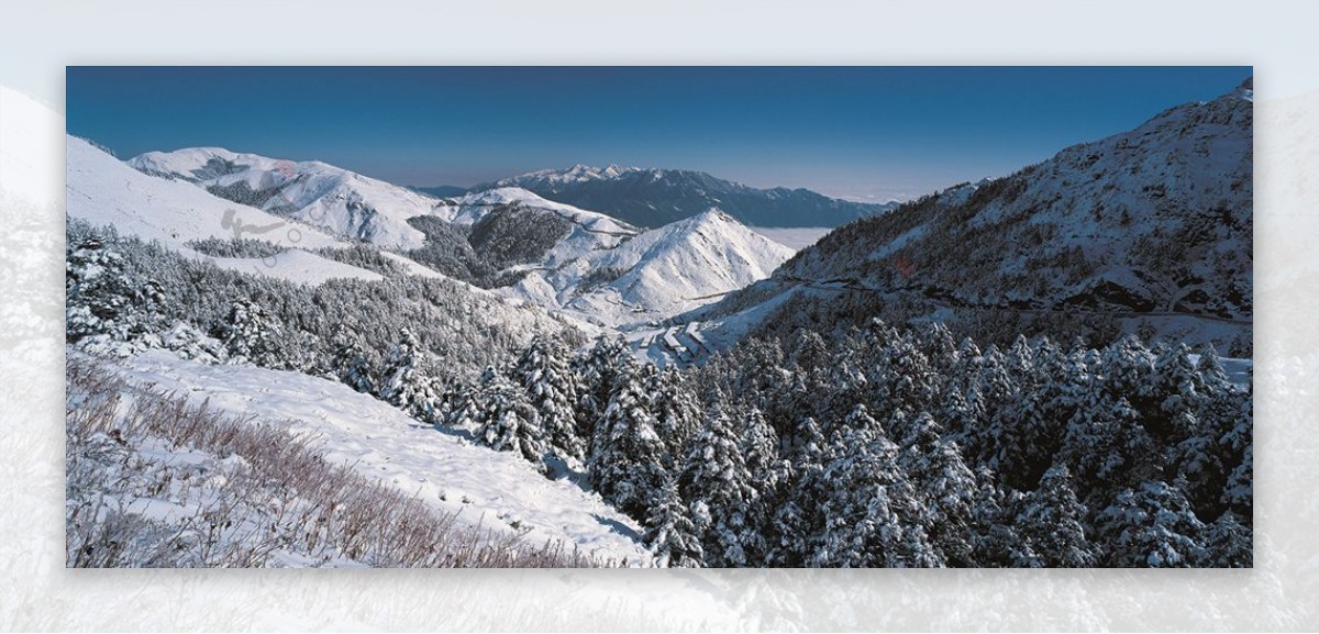 雪景冬天景色摄影