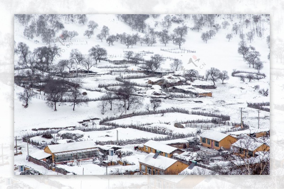 冬日里的雪乡美景