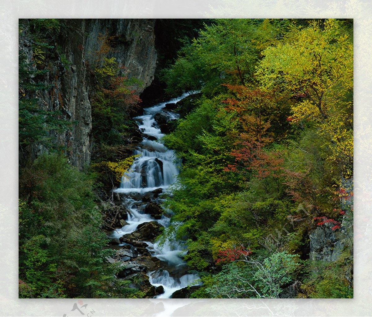 青山绿水