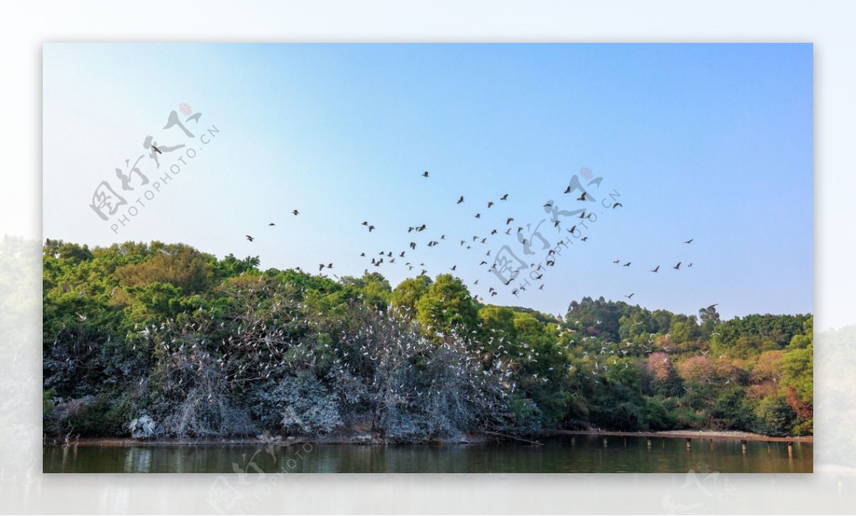 鹭鸟自然保护区