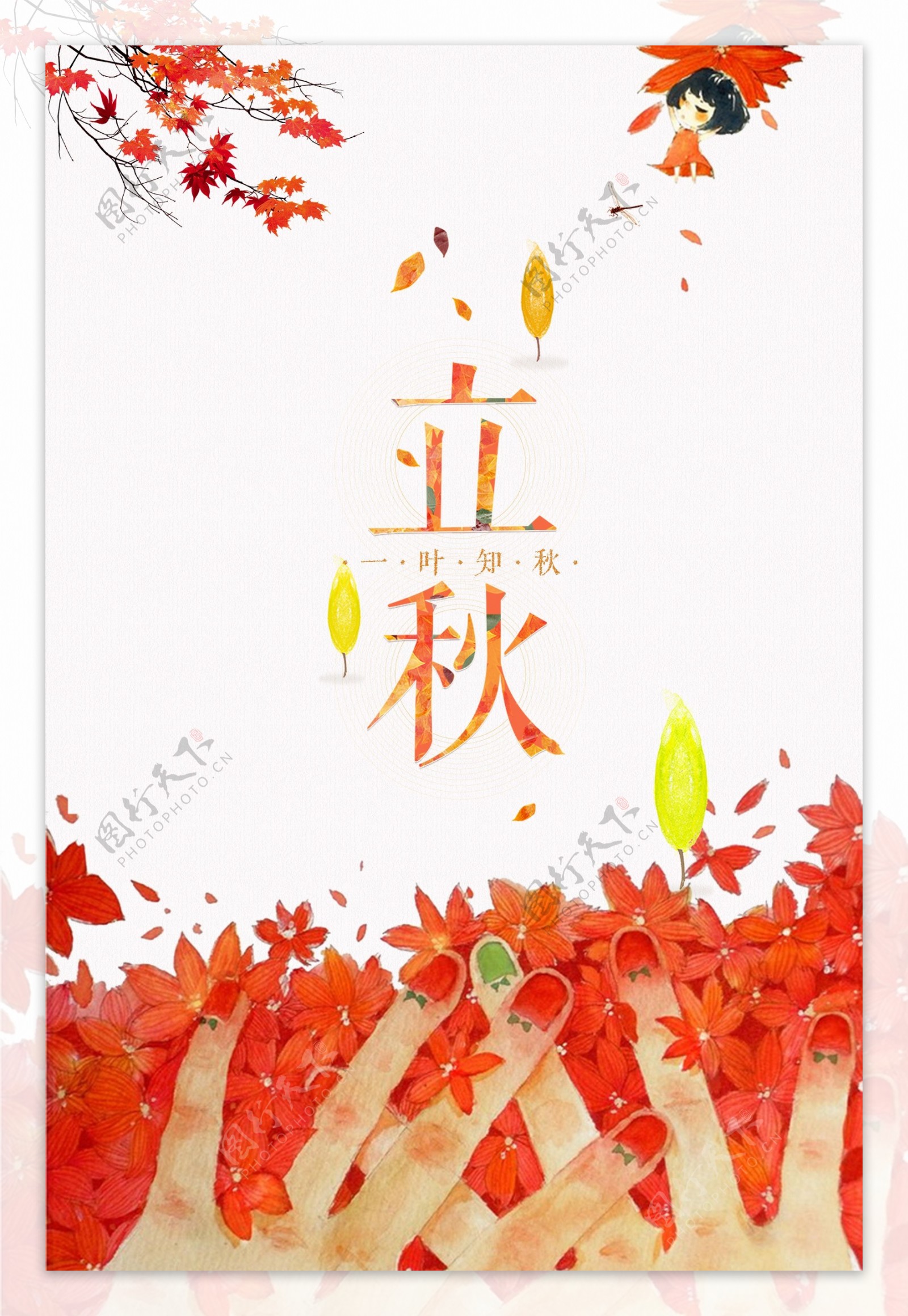 唯美立秋节气红枫叶背景
