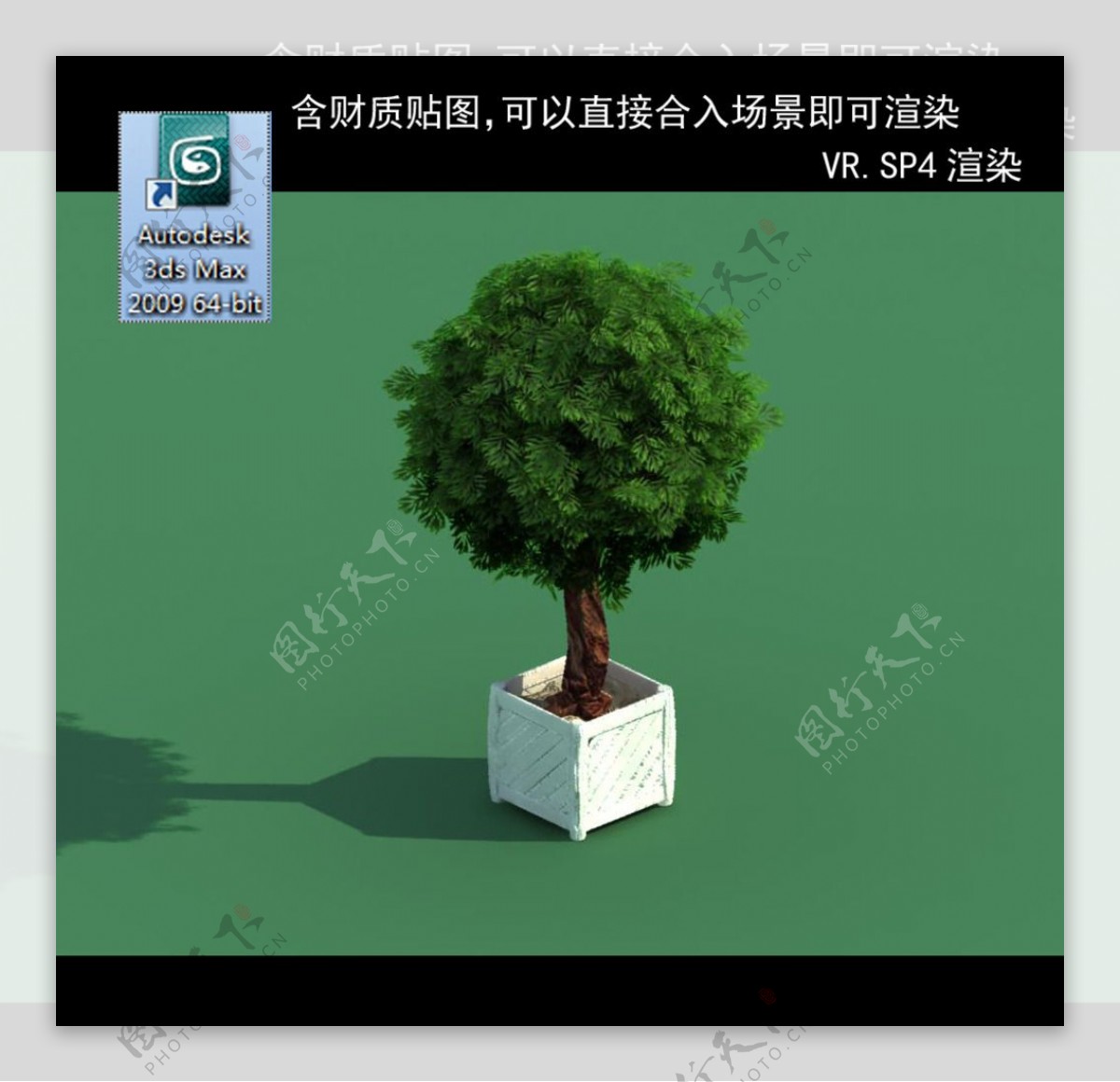3D灌木模型3D植物模型