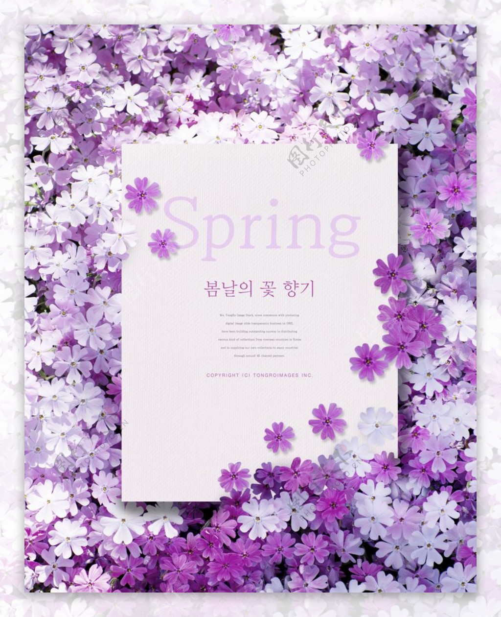 韩式春季春天气息唯美海报PSD