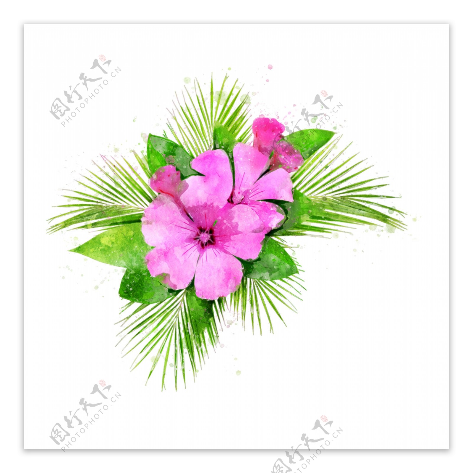 手绘花卉粉色植物水彩元素