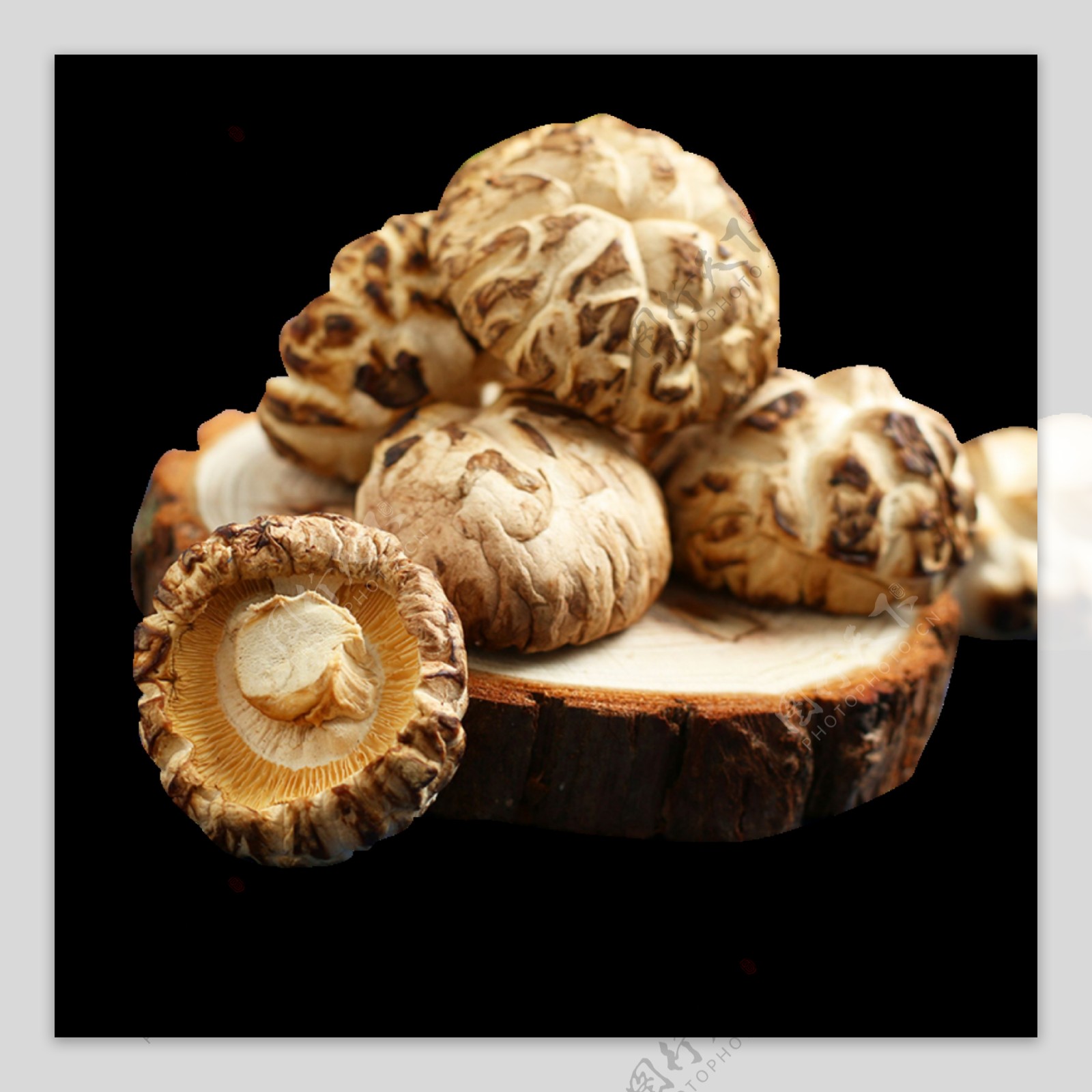花菇蘑菇png图片素材