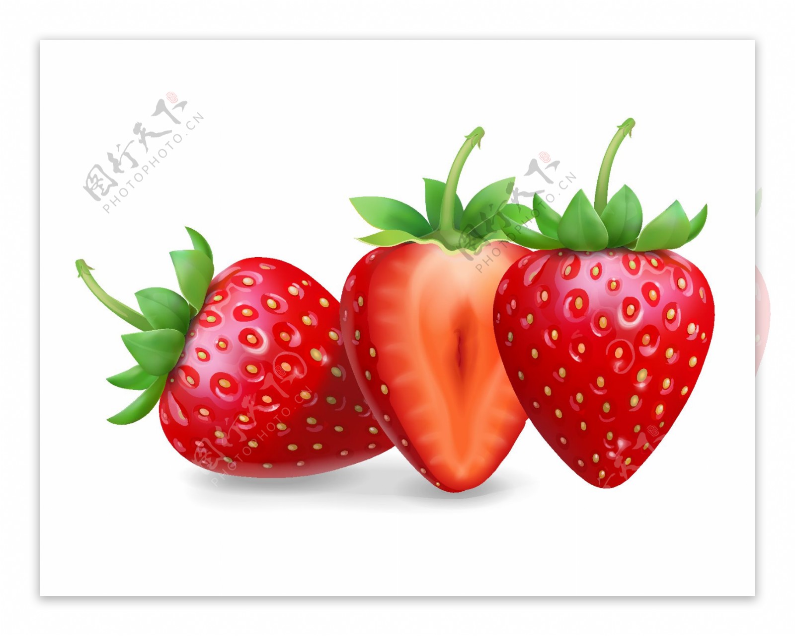矢量红色草莓元素