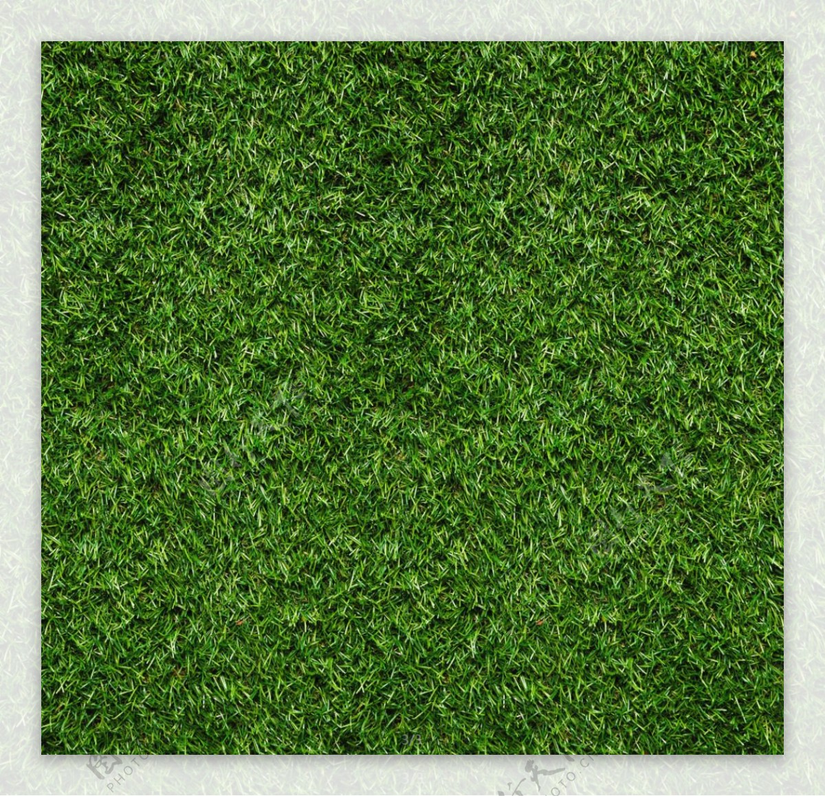草坪绿色墙面