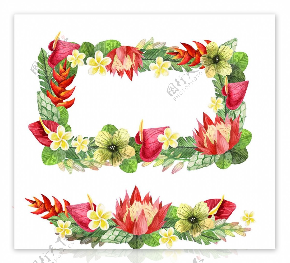 2款彩色手绘热带花卉框架