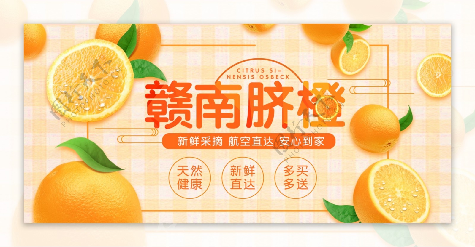 淘宝天猫秋季水果食品上市海报banner