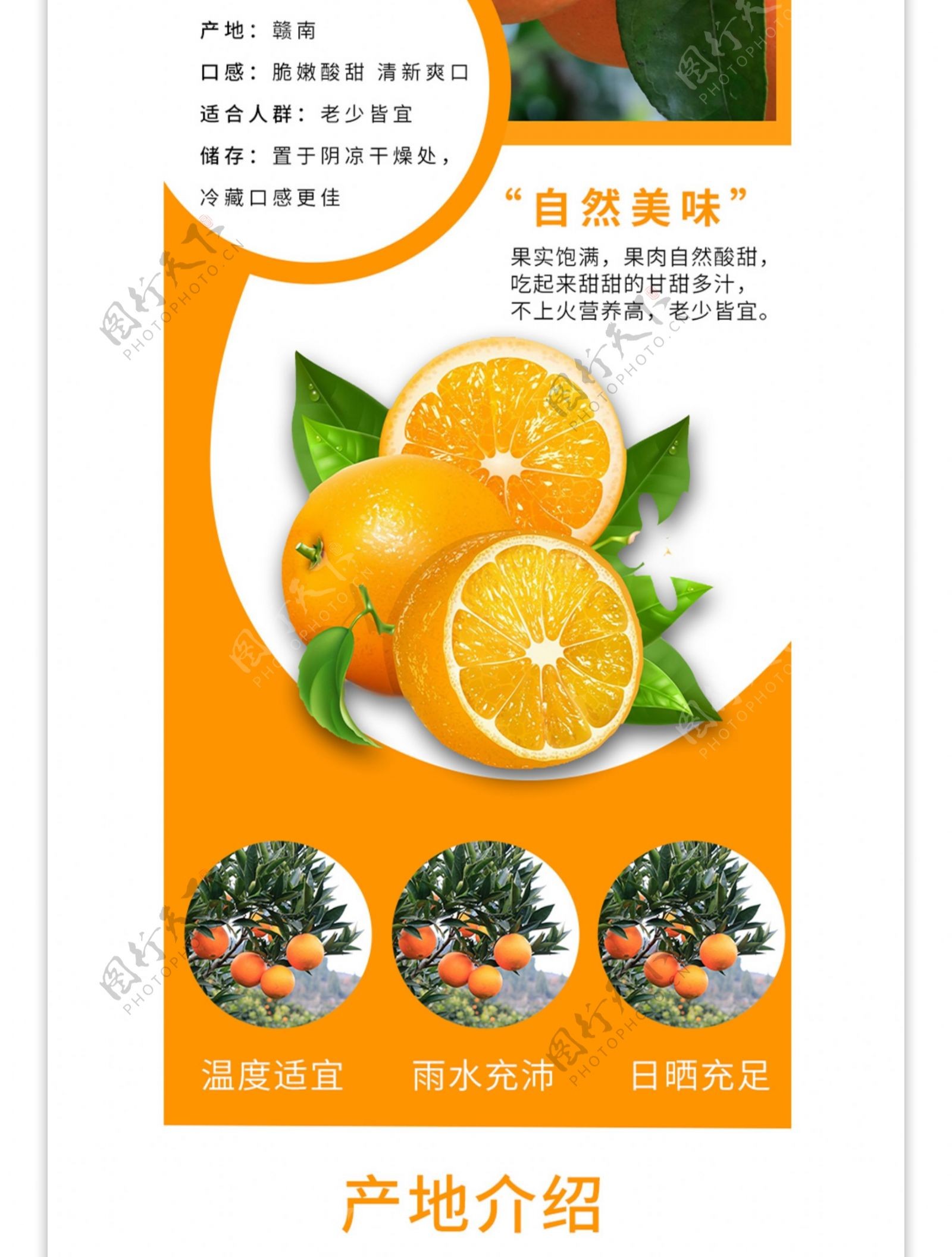 赣南脐橙清新水果淘宝详情页模板