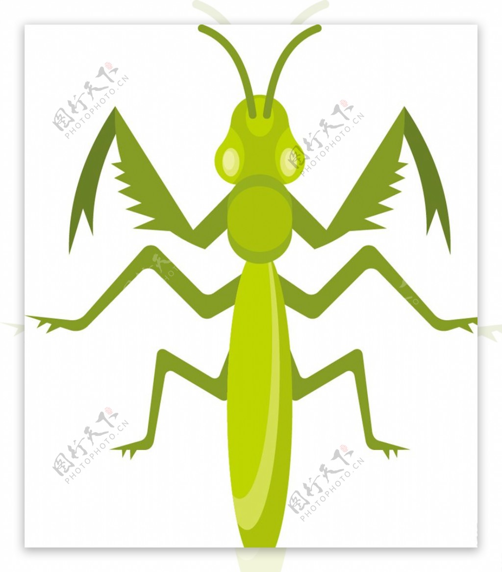 矢量卡通绿色螳螂